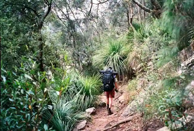 Long-Distance Hiking Trails Australia