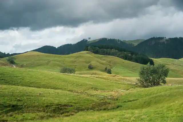 long-distance trekking kepler track